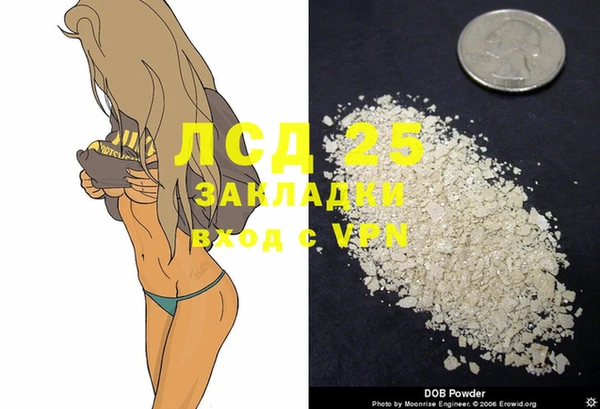 индика Великий Новгород