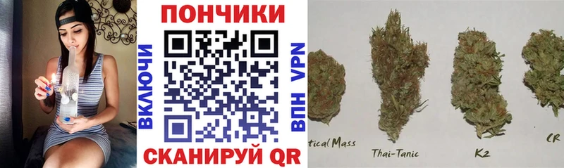 Бошки марихуана Amnesia  omg ссылки  Кочубеевское  где найти  